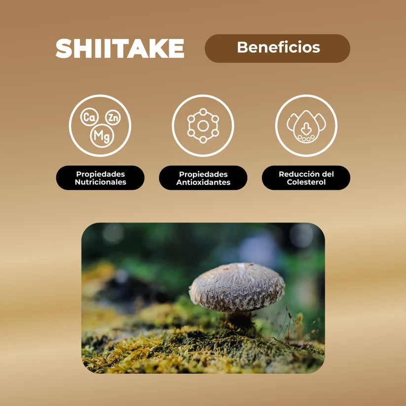 Shiitake 60 Capsulas 500 Mg - Karún Life