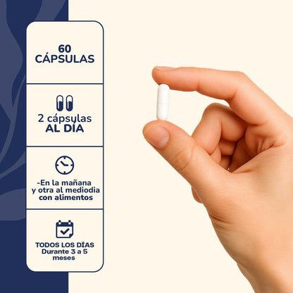 Astaxantina + NAD+ 60 Cápsulas - Karún Life