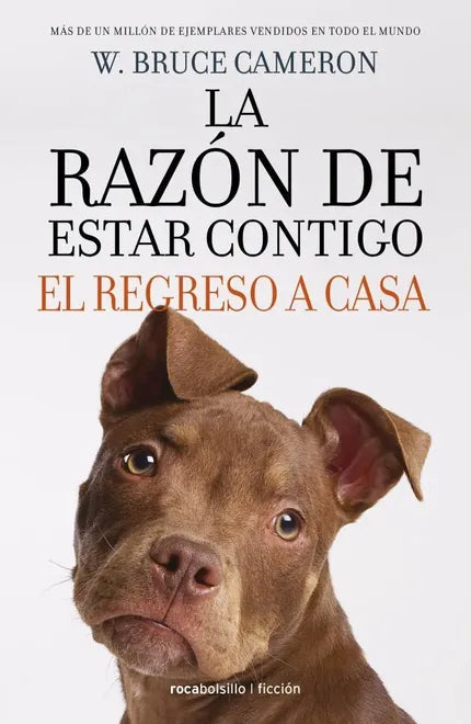 La razón de estar contigo, el regreso a casa - W. Bruce Cameron
