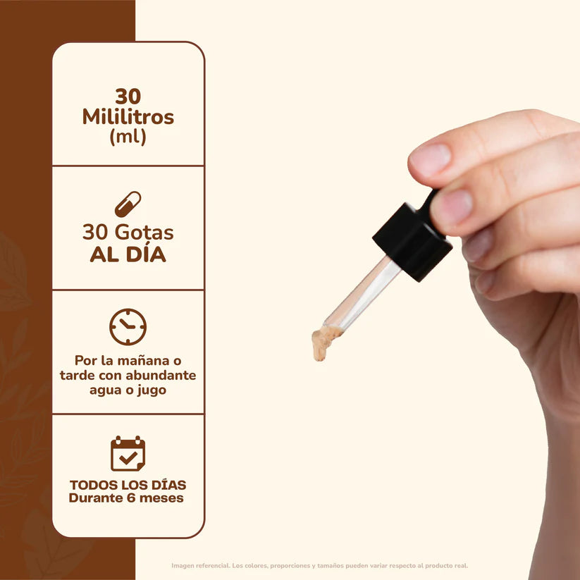 Melena de León + Ashwagandha Concentrado 30 Ml - Karün Life