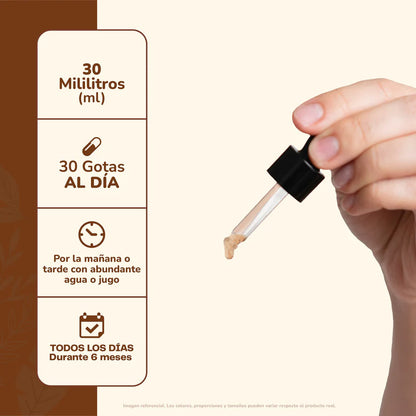Melena de León + Ashwagandha Concentrado 30 Ml - Karün Life
