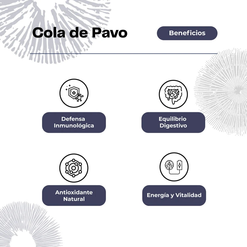 Concentrado Cola de Pavo 30 Ml - Karün Life