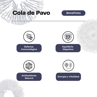 Concentrado Cola de Pavo 30 Ml - Karün Life