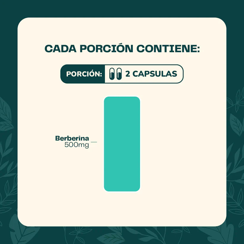 Berberina 60 capsulas - Karin life