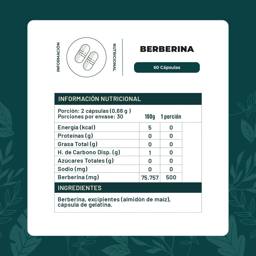 Berberina 60 capsulas - Karin life