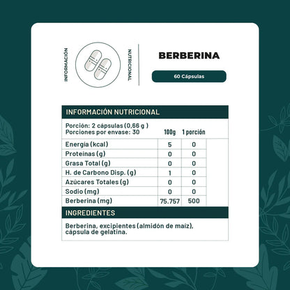 Berberina 60 capsulas - Karin life