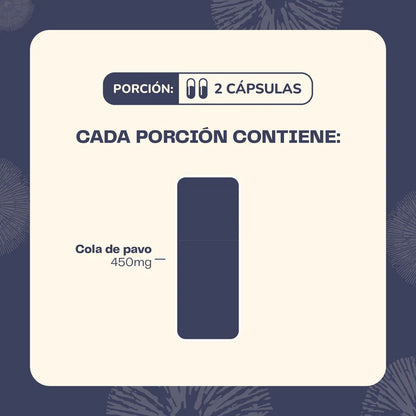 Cola de Pavo 60 Cápsulas - Karún Life