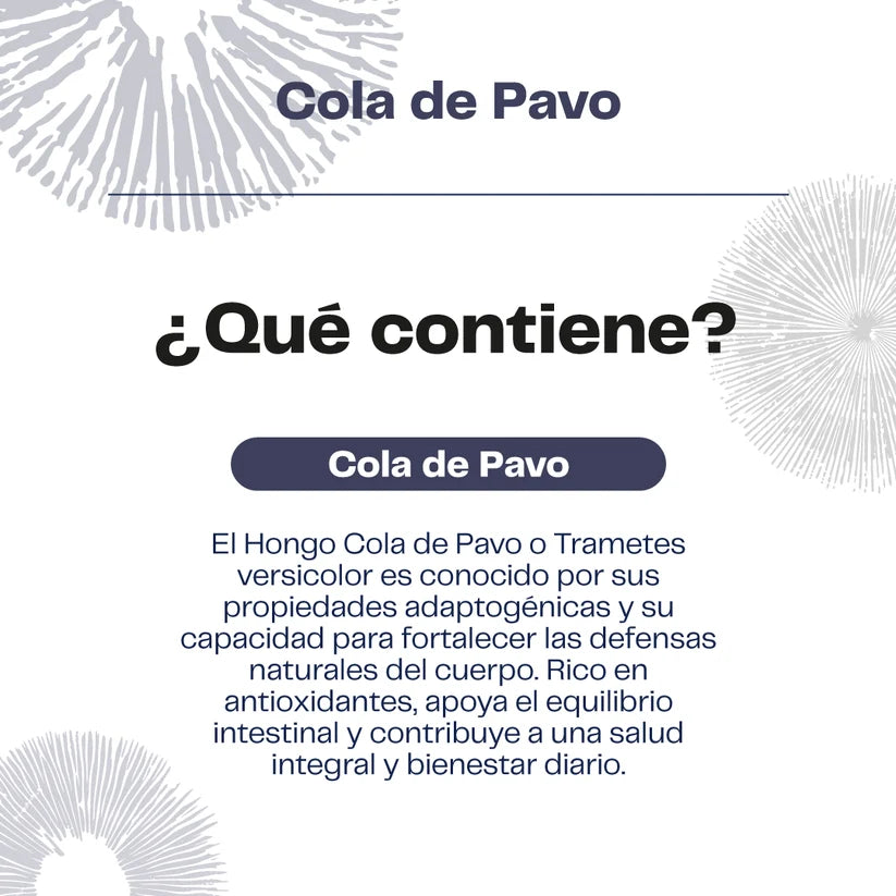 Concentrado Cola de Pavo 30 Ml - Karün Life