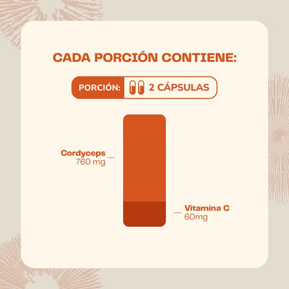 Cordyceps Suplemento Deportistas 60 Capsulas - Karún Life