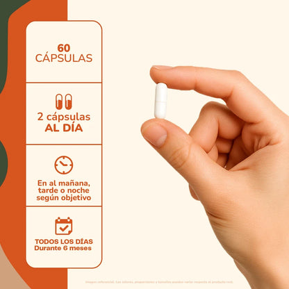 Essencial Fungi Defensa Inmunológica 60 Capsulas - Karún Life