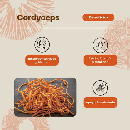 Cordyceps Concentrado Suplemento Deportistas 30ml - Karün Life