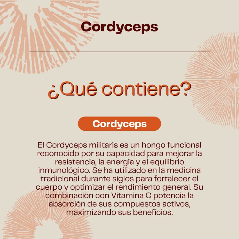 Cordyceps Concentrado Suplemento Deportistas 30ml - Karün Life