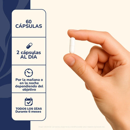 L-Teanina 60 Cápsulas - Karün Life