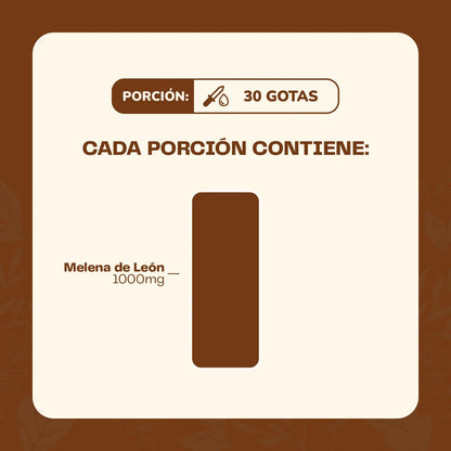 Concentrado Melena de León 30 Ml - Karún Life
