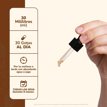 Concentrado Melena de León 30 Ml - Karún Life