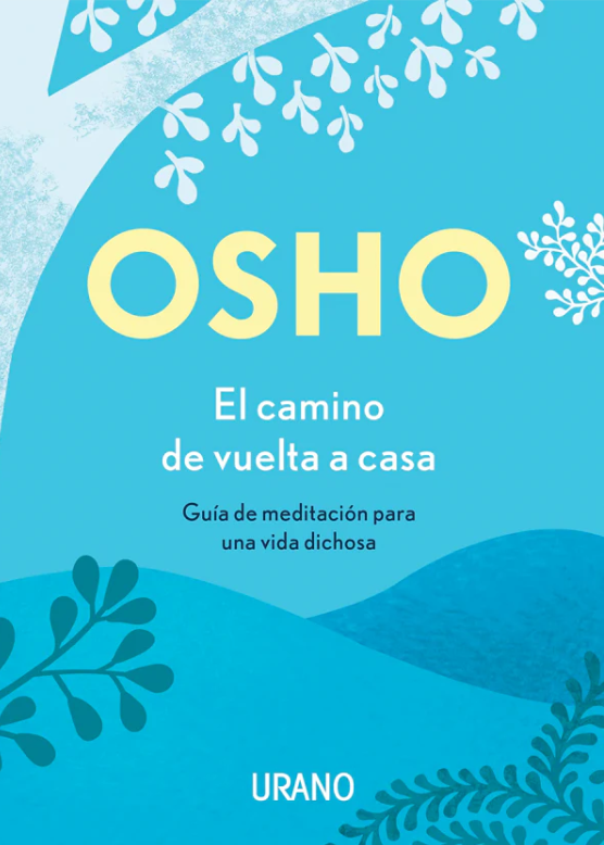 EL CAMINO DE VUELTA A CASA