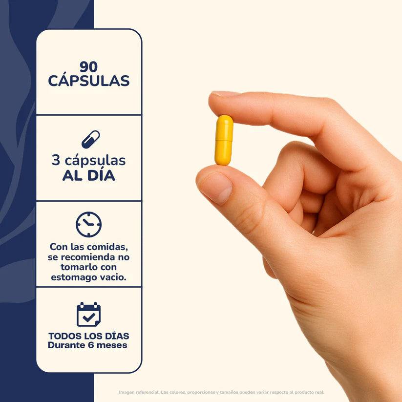 Omega 3 90 Cápsulas blandas - Karún Life