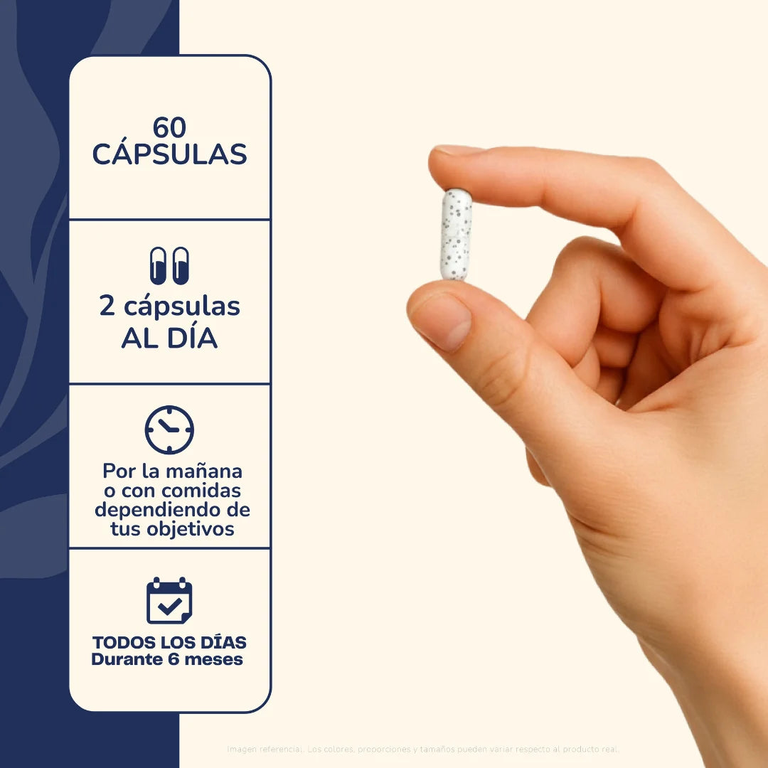 Antioxplus 60 Cápsulas - Karün Life