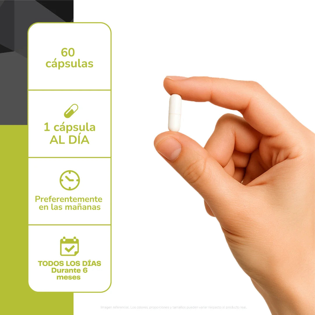 Arginina 500 mg 60 Cap - Karün Life