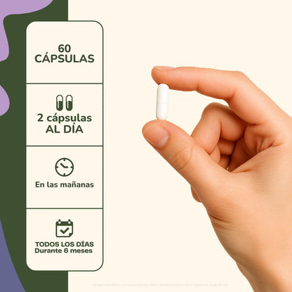 Focus Claridad Mental Y Cognitiva 60 Capsulas - Karún Life
