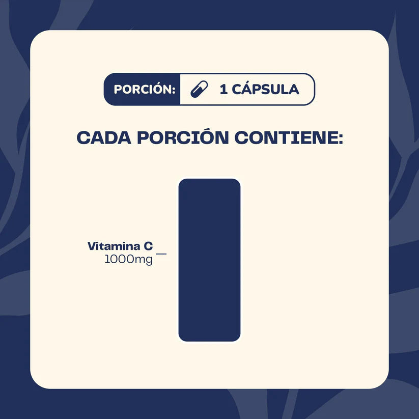 Vitamina C 90 Capsulas 1000 Mg - Karún Life