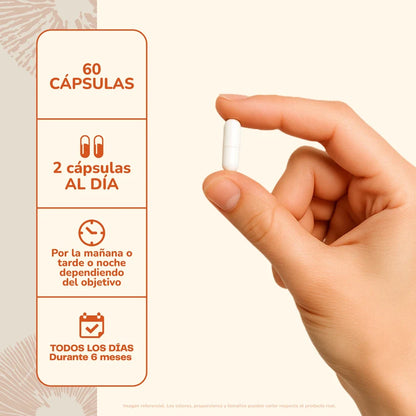 Cordyceps Suplemento Deportistas 60 Capsulas - Karún Life