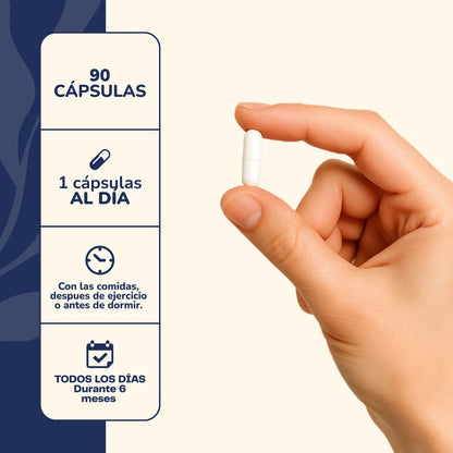 Zinc 90 Cápsulas 15mg - Karún Life
